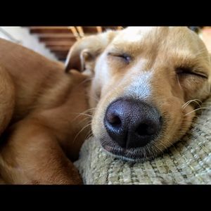 Meet your Posher, Trae